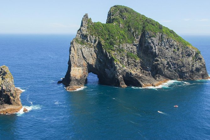 Group Tour to Bay of Islands Return From Auckland - Comfortable and Scenic Travel
