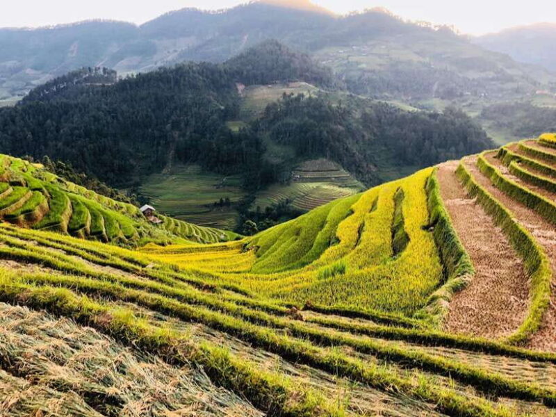 Group Tour - Visit All Highlights of Sapa in 1 Day - Tour Features and Inclusions