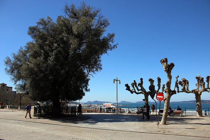 GROUP Walking Tour in Vigo - Inclusions and Pricing