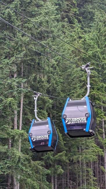 Grouse Mnt+StanleyPark+Hatchery+Cleveland Dam+LynnCanyonTOUR - Final Thoughts