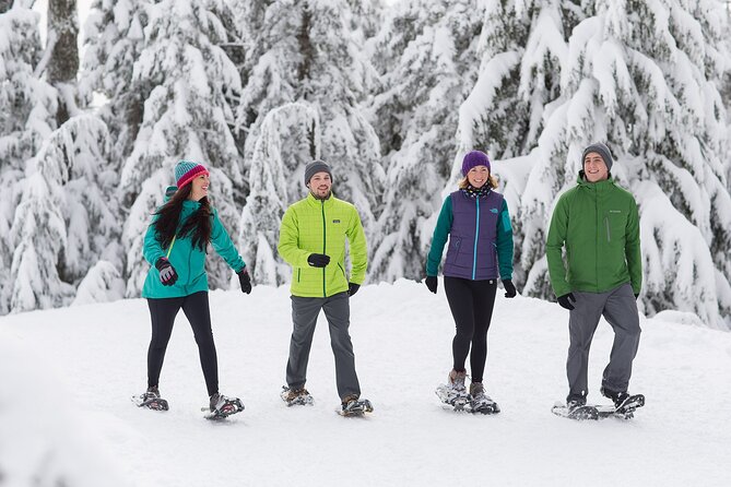 Grouse Mountain Admission Ticket - Experiences and Attractions