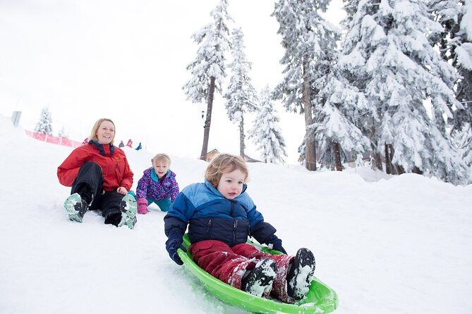 Grouse Mountain Admission Ticket - Wildlife Refuge and Ranger Talks