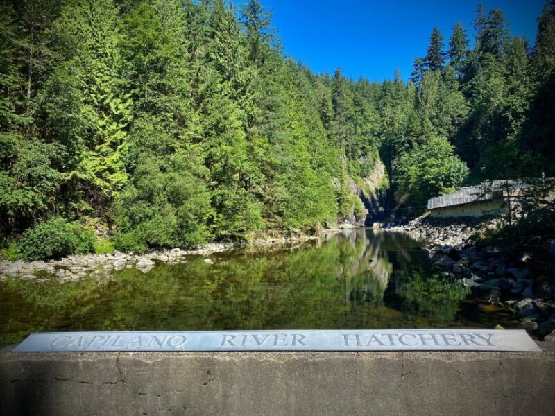 Grouse Mountain & Capilano Suspension Bridge Park Adventure - Tour Duration and Schedule