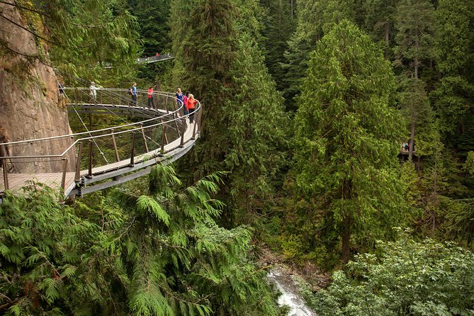 Grouse Mountain & Capilano Suspension Bridge Park - Weather and Service Animals