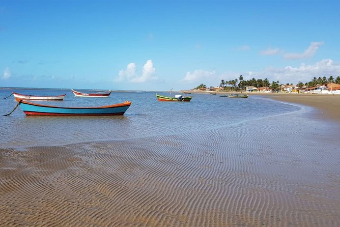 Grumari, Prainha & Pontal Beach Day Tour in Rio De Janeiro With Transfer - Rated 5.0 by Travelers