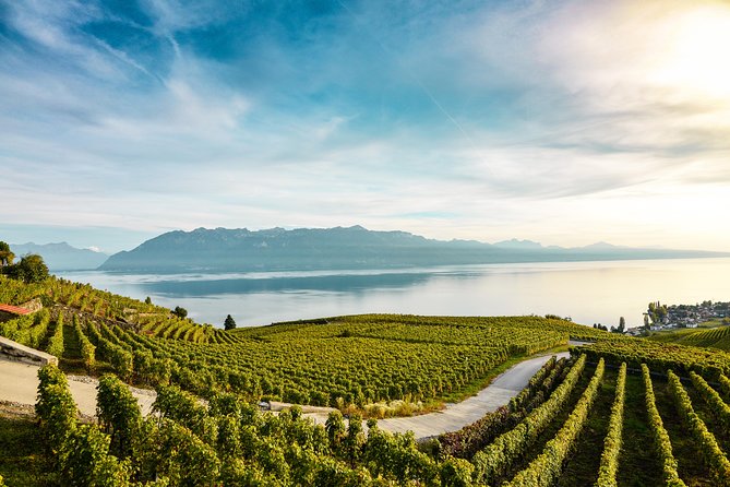 Gruyères Private Tour From Geneva With Panoramic Golden Train - Tour Booking and Flexibility