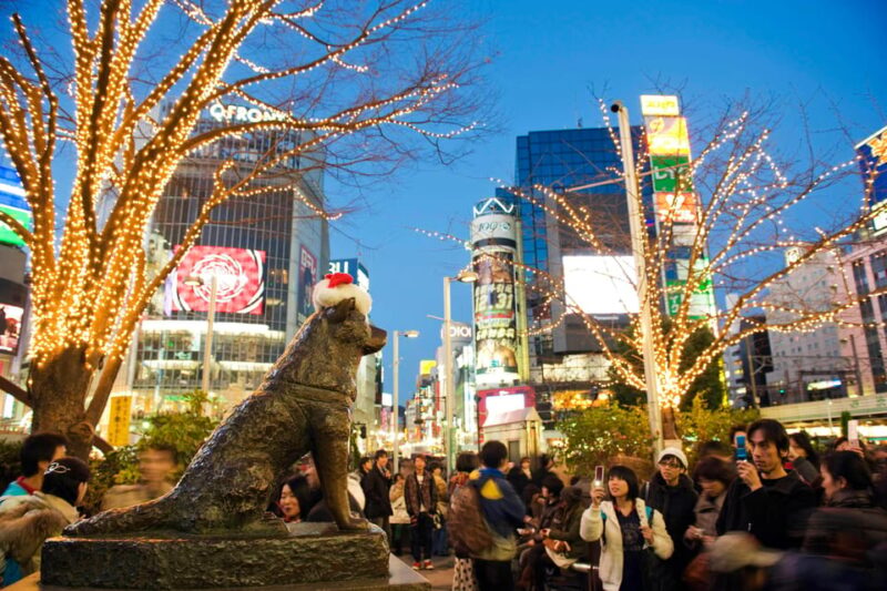 GTR Nissan Tour - Tokyo/Yokohama - Important Information