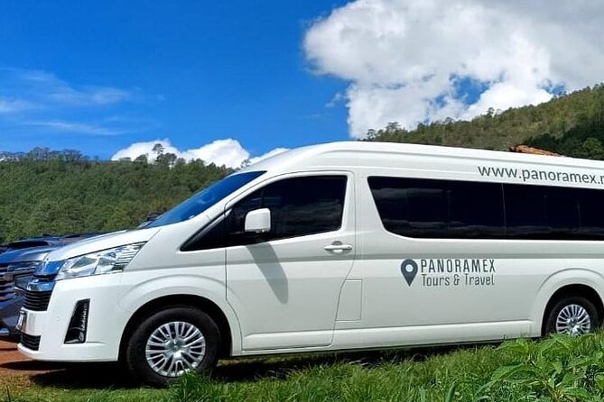 Guachimontones and Tequila Tour - Traveler Feedback