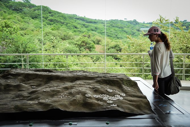 Guachimontones and Tequila Tour - Booking and Flexibility