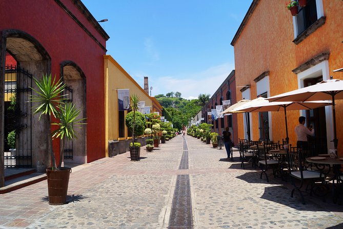 Guachimontones Archeological Site & Tequila Town PRIVATE TOUR - Tequila Tasting Experience