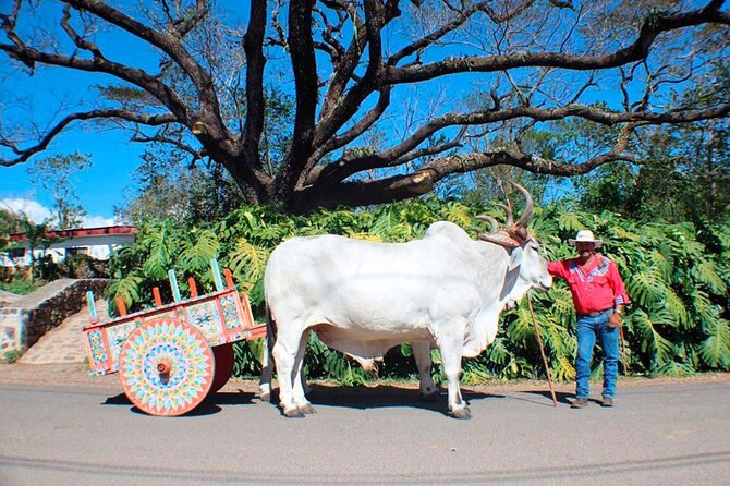 Guachipelín Adventure Combo Including Lunch & Hot Springs - Admission and Accessibility
