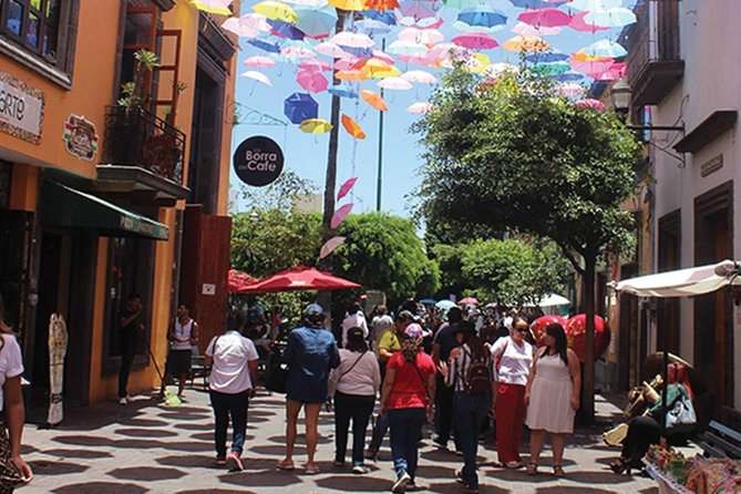 Guadalajara and Tlaquepaque City Sightseeing Tour - Traveler Feedback