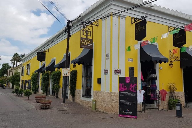 Guadalajara and Tlaquepaque Culture and Shopping - Navigating the Tour Experience