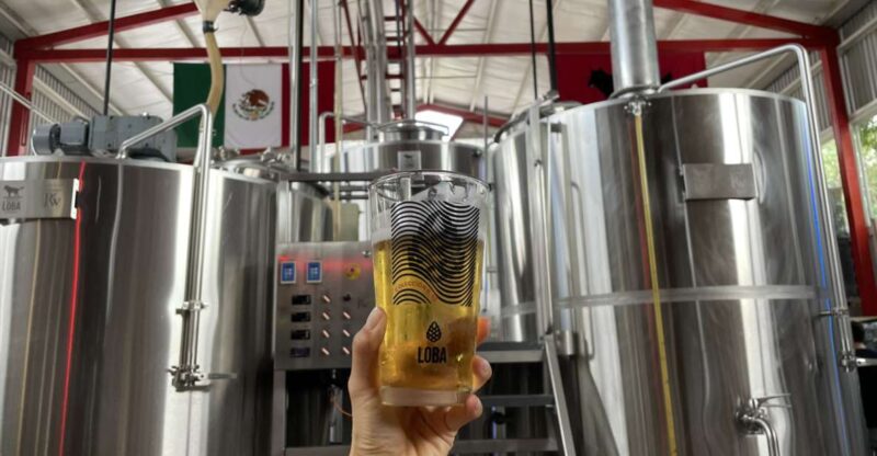 Guadalajara Arquitecture and Brewery Tour - Key Points