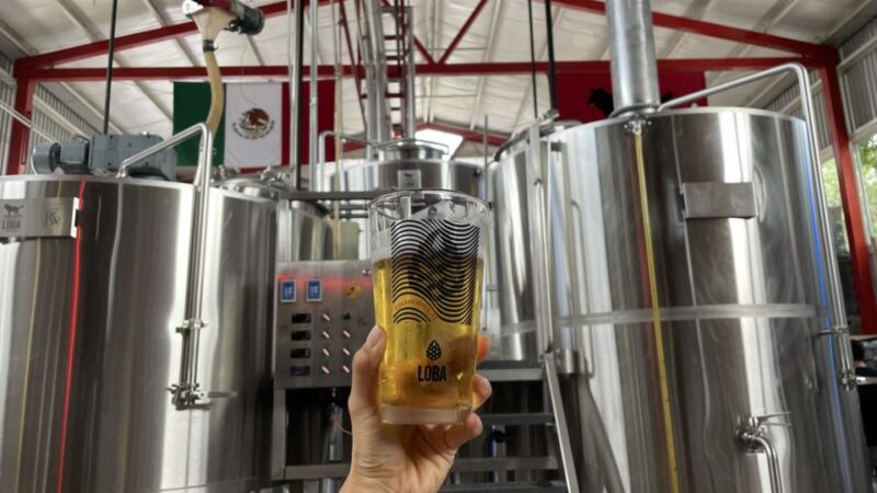 Guadalajara Arquitecture and Brewery Tour - Itinerary