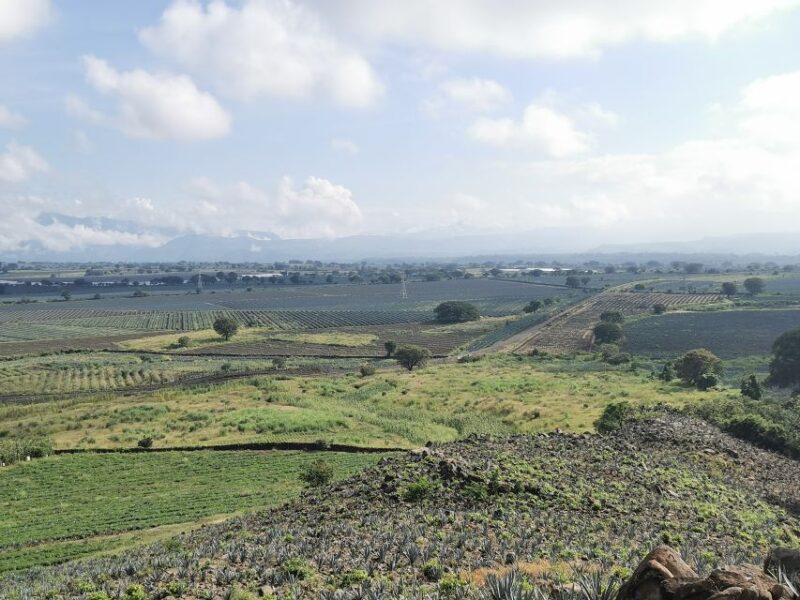 Guadalajara: Horse Riding on the Tequila Route With Tastings - Itinerary Highlights