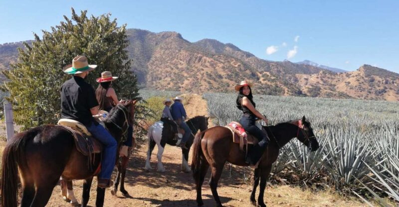 Guadalajara: Horse Riding on the Tequila Route With Tastings - Experience Details