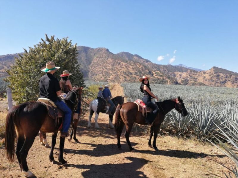 Guadalajara: Horse Riding on the Tequila Route With Tastings - Important Information