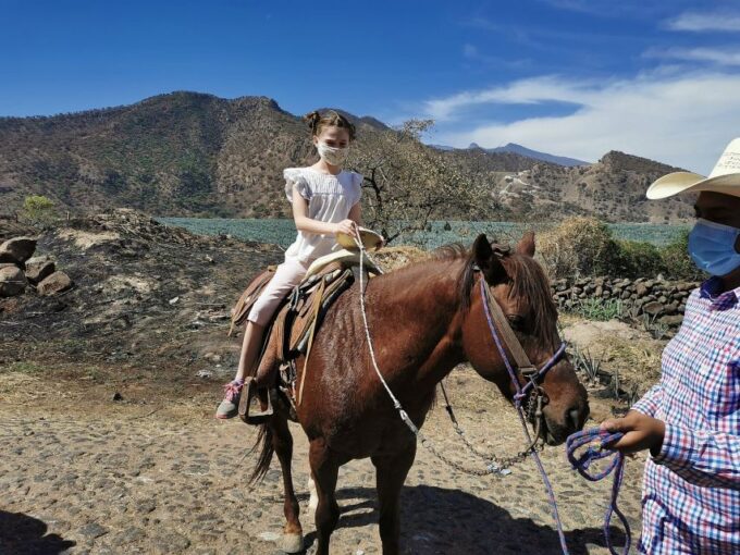 Guadalajara: Horse Riding on the Tequila Route With Tastings - Tasting and Tour Experiences