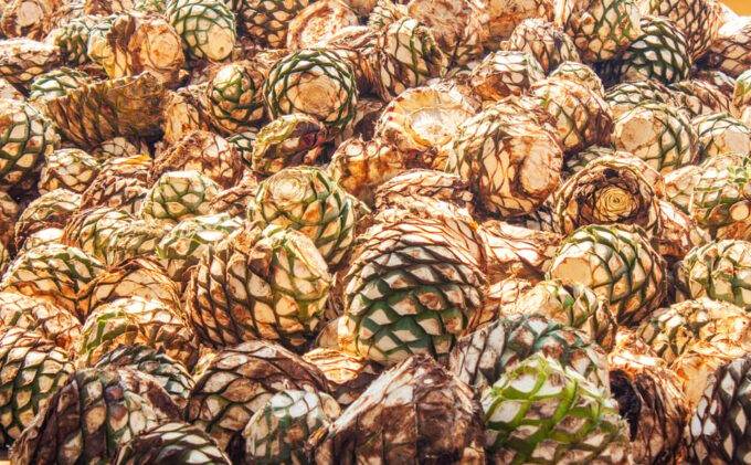 Guadalajara: Lake Chapala and Ajijic Day Trip With Boat Trip - Tequila Distillery Tour