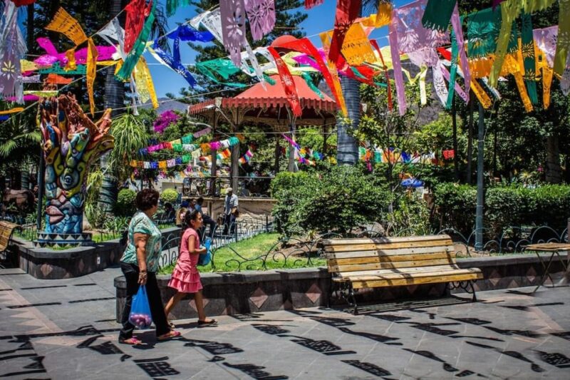 Guadalajara: Lake Chapala and Ajijic Tour - Key Points