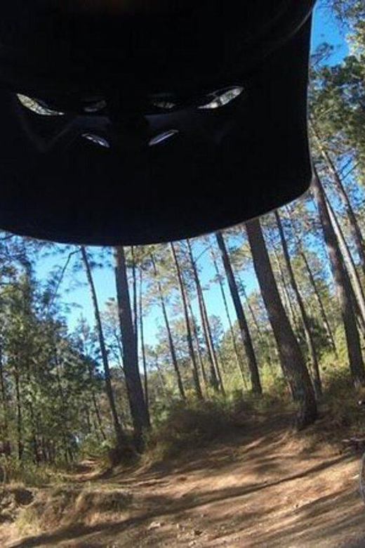 Guadalajara: Mountain Bike Tour in La Primavera Park - Key Points
