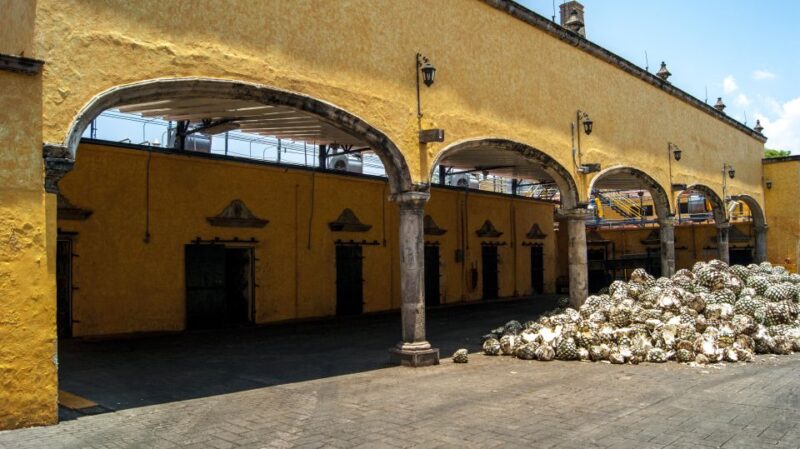 Guadalajara: Tequila Day Trip With Jose Cuervo Option - Key Points