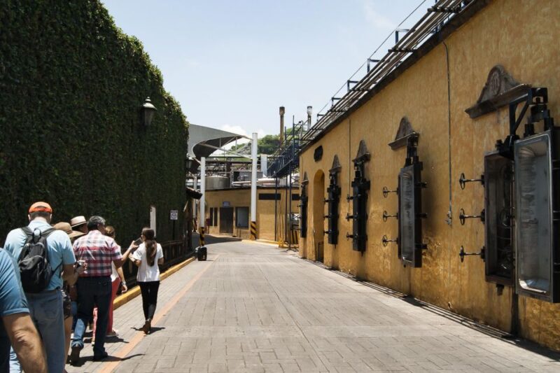 Guadalajara: Tequila Day Trip With Jose Cuervo Option - Experience Highlights