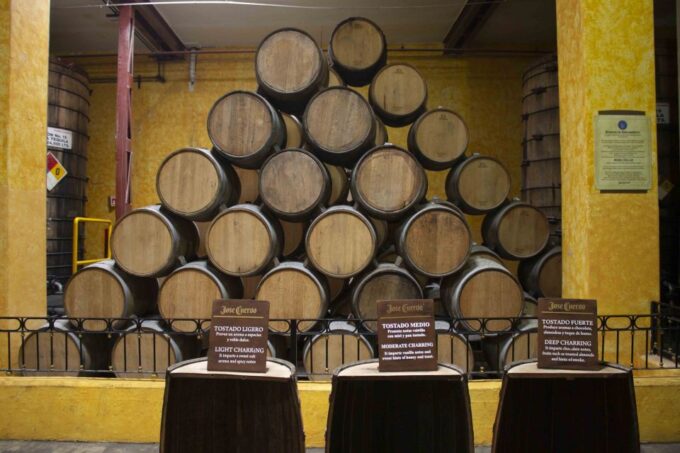 Guadalajara: Tequila Day Trip With Jose Cuervo Option - Important Information and Requirements