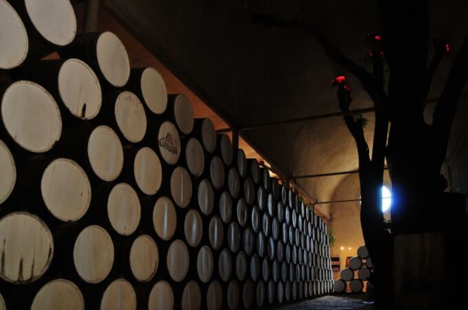Guadalajara: Tequila Day Trip With Jose Cuervo Option - Frequently Asked Questions