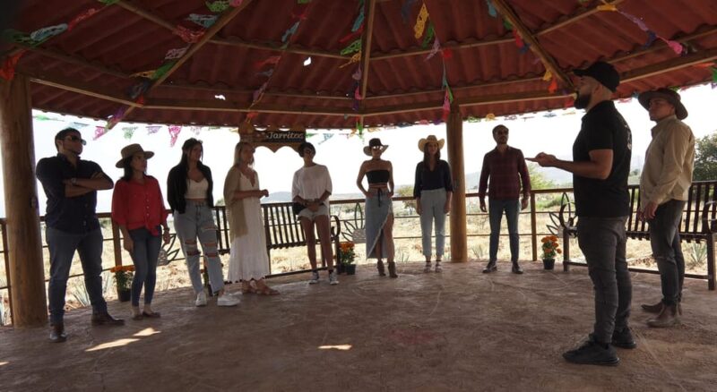 Guadalajara: Tequila Premium Tour With Tastings and Pairings - Key Points