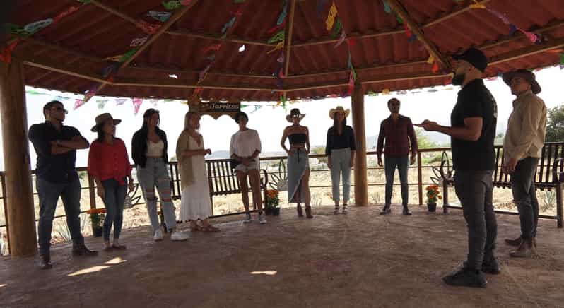 Guadalajara: Tequila Premium Tour With Tastings and Pairings - Itinerary Highlights