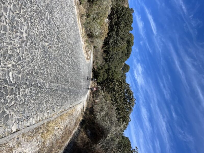 Guadalajara: The Primavera Forest 25-km Mountain Biking Tour - Itinerary and Experience