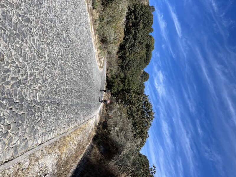 Guadalajara: The Primavera Forest 25-km Mountain Biking Tour - Participant Restrictions