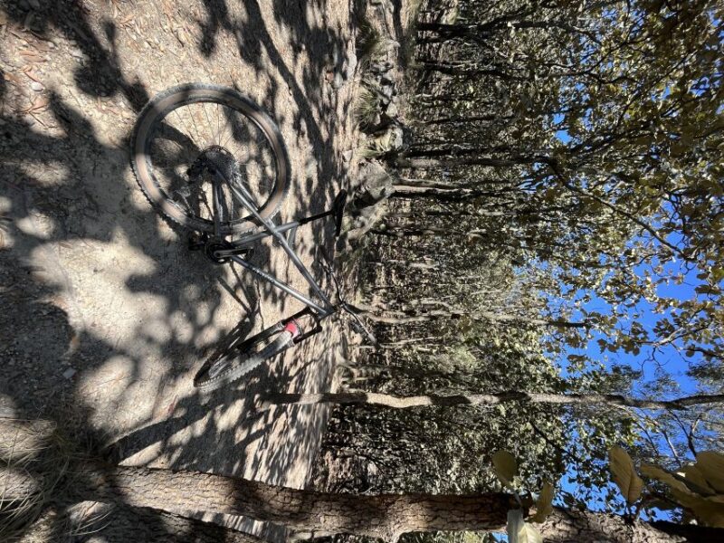 Guadalajara: The Primavera Forest 25-km Mountain Biking Tour - Preparation and Safety Guidelines