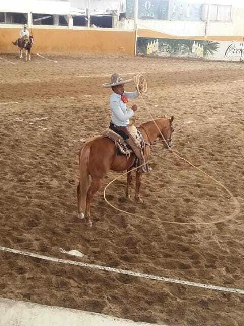 Guadalajara Tour and Charreria Competition Show - Final Thoughts