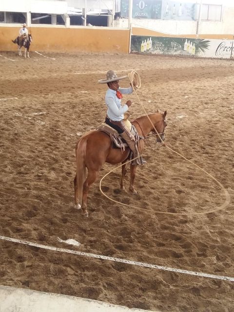 Guadalajara Tour and Charreria Show (Mexican Cowboys Show) - Key Points