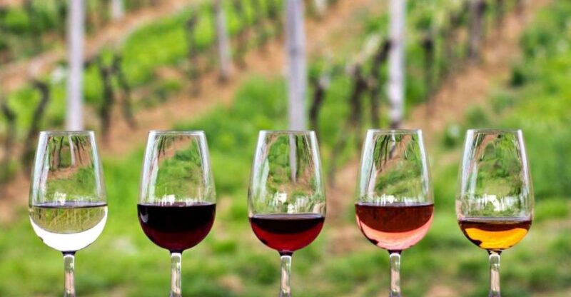 Guadalupe Valley: Complete Wine Route - Key Points