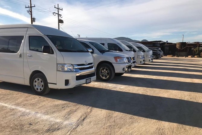 Guadalupe Valley Private Driver Tour - Terroir Tasting Experience