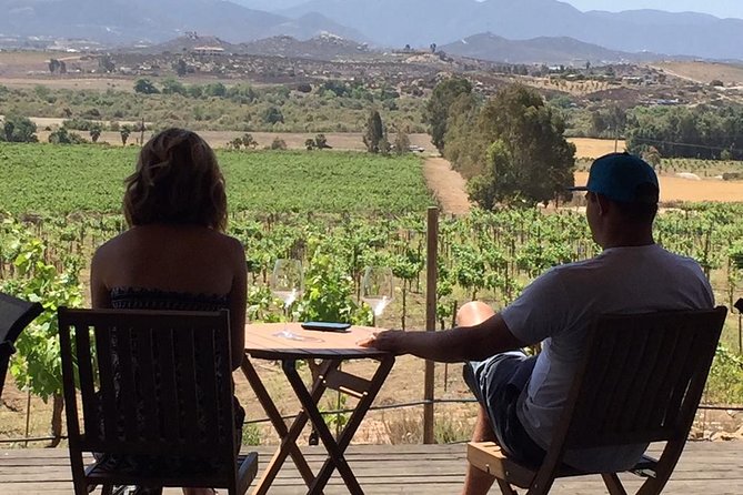 Guadalupe Valley Wine Route Tour in Baja California - Transportation and Logistics