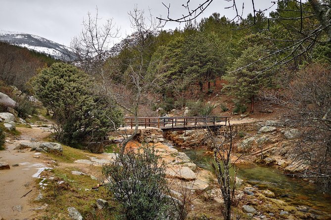 Guadarrama National Park From Madrid - Tour Reviews and Feedback