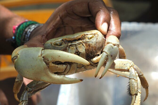 Guadeloupe: Its Craftspeople, Delicacies and Farmers' Market - Exploring Guadeloupe in Depth: The Itinerary