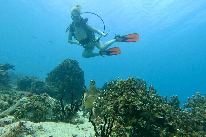 Guam's Best Beach Diving! Beginner and Advanced Dives - FAQs