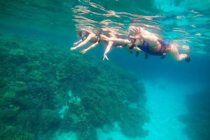 Guam's Private 5 Star Guided Snorkeling Tour! - Key Points