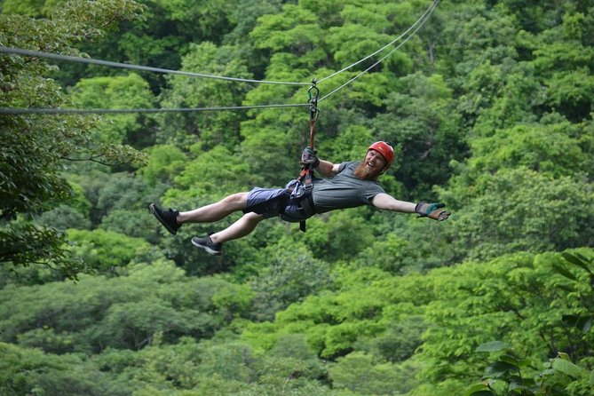 Guanacaste Forest Zipline (Tamarindo, Playa Grande, Flamingo, Potrero) - Diverse Wildlife Sightings