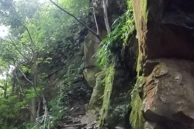 Guanacaste Volcano and Jungle Tour - Tour Overview