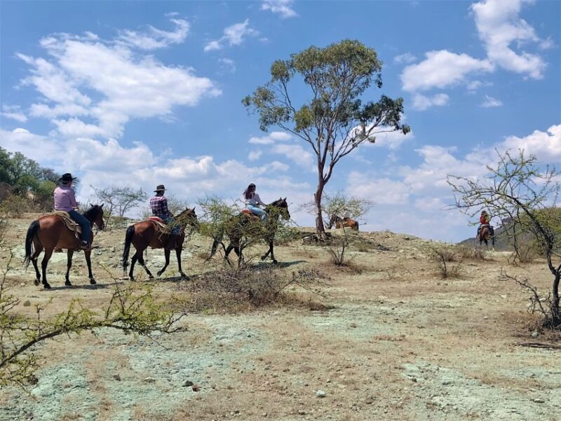 Guanajuato: Horse Ride Tour - Experience Highlights
