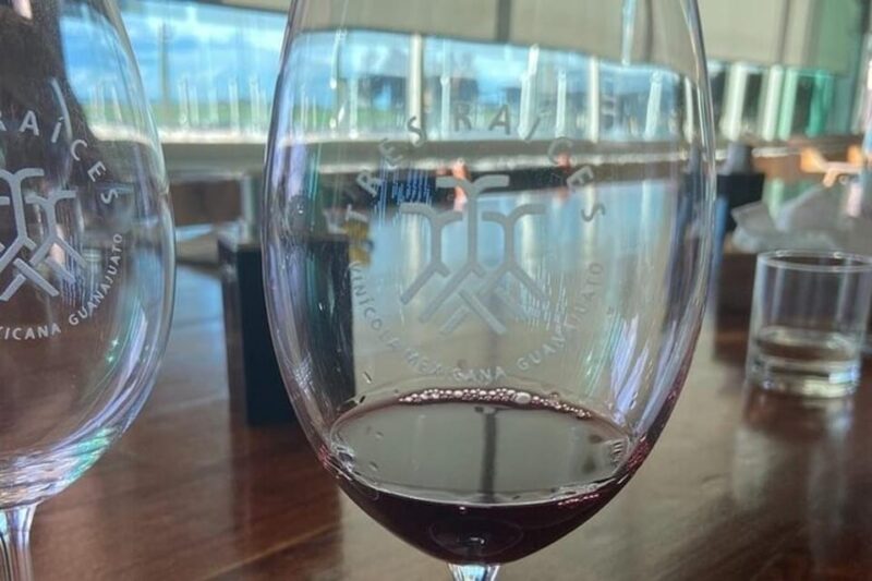Guanajuato: Private Wine Route Tour With Tastings - Key Points