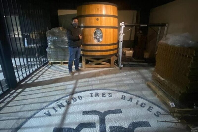 Guanajuato: Private Wine Route Tour With Tastings - Participant Restrictions