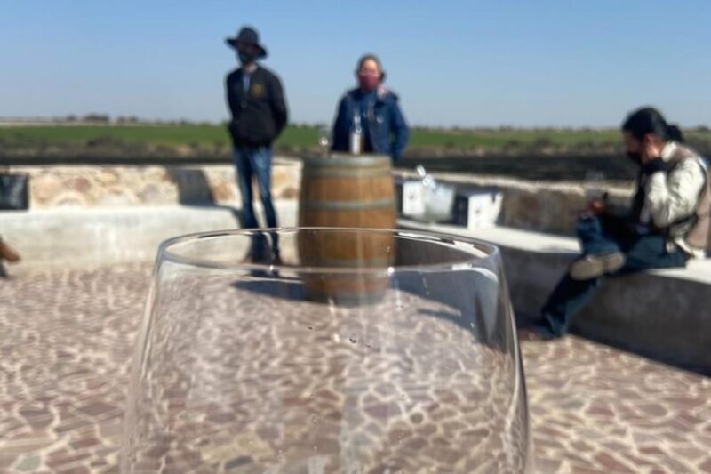 Guanajuato: Private Wine Route Tour With Tastings - Exclusive Vineyards